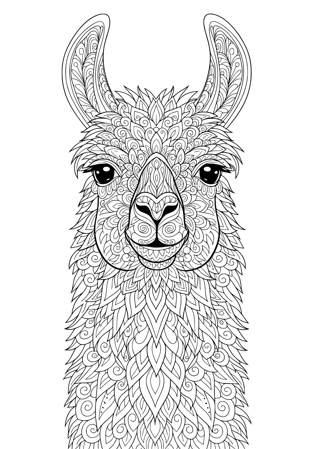 Detailed line drawing of a llama head with swirling fur patterns and big, expressive eyes.