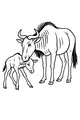 Free Wildebeest Coloring Page - Mama Nuzzling Her Wobbly Calf (Printable PDF)