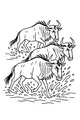 Free Wildebeest Coloring Page - Herd Running Through River (Printable PDF)