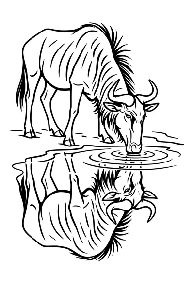 Free Wildebeest Coloring Page - Thirsty Gnu at Calm Waterhole (Printable PDF)