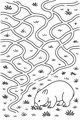Free Wombat Coloring Page - Wally Walking Wavy Burrow Paths (Printable PDF)