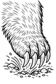 Free Wombat Coloring Page - Burrowing Paw With Curved Claws (Printable PDF)