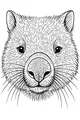 Free Wombat Coloring Page - Cute Close-Up Face With Big Nose (Printable PDF)