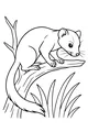 Free Weasel Coloring Page - Balancing on a Forest Branch (Printable PDF)