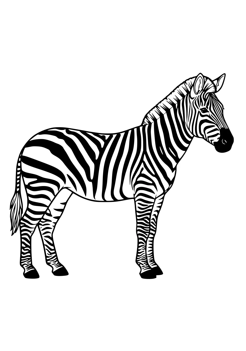 Side-view zebra with bold black stripes, upright mane, perked ears, tufted tail, and sturdy hooves on a blank background.